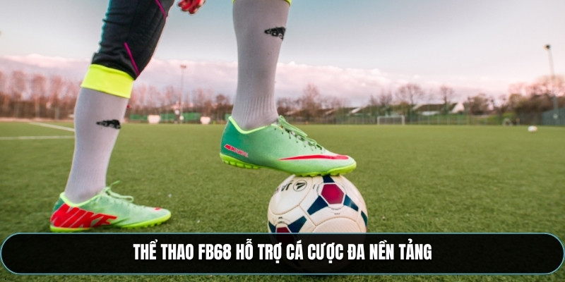 Thể thao FB68 hỗ trợ cá cược đa nền tảng